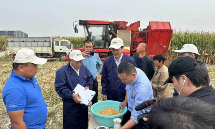 中化农业MAP助力粮食增产